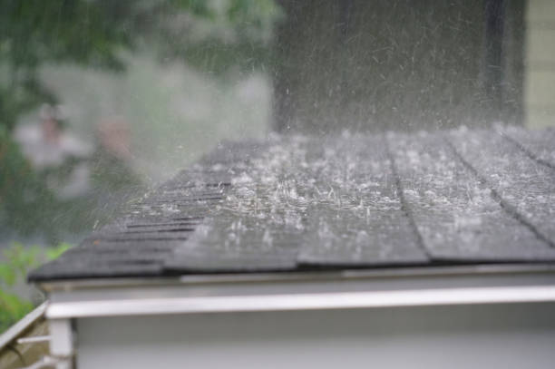 Best Roof Coating and Sealing  in Pardeeville, WI